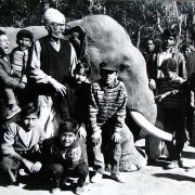 group of children with Prakritish Barua popularly known as Lalji and the elephant