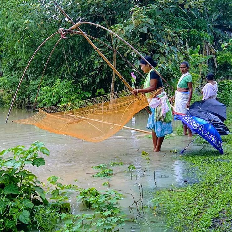 Let’s Go Fishing, Assam Style! East India Story Culture
