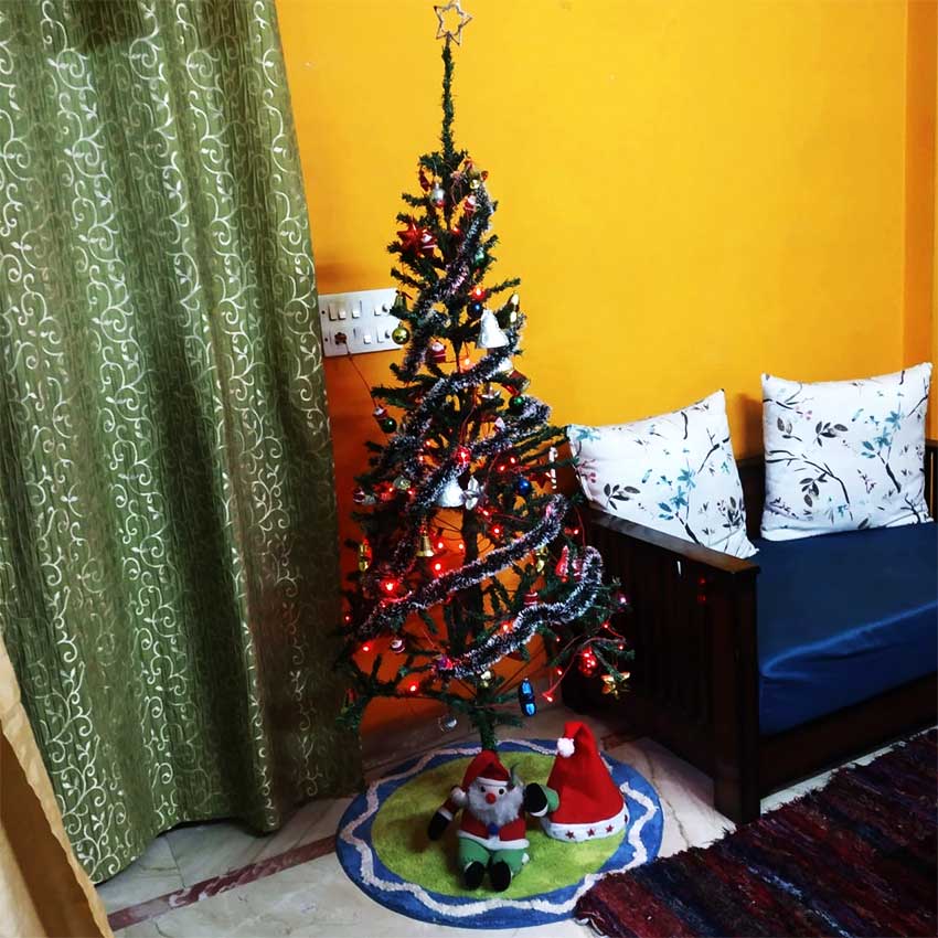 Christmas tree at home