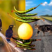 Superstition illustration