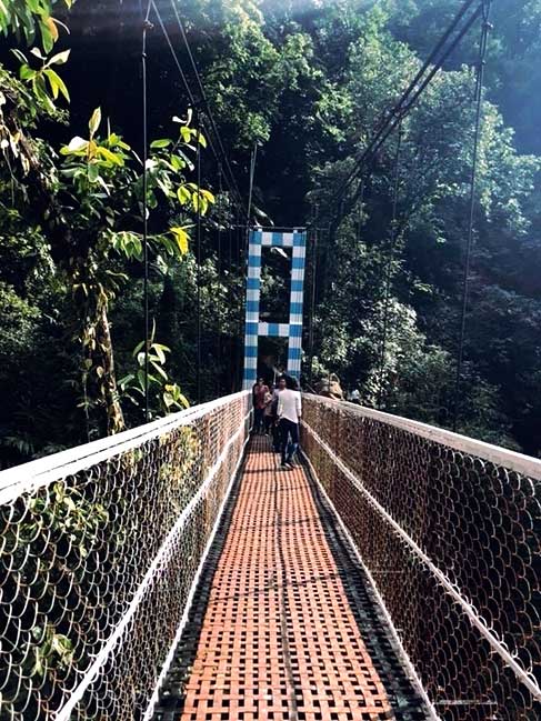 Second Iron Double decker living root bridge trek