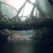 The single living root bridge of Nohwet Village