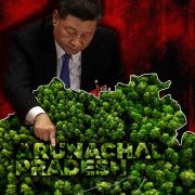xi jinping pointing at Arunachal