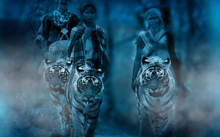 Were-Tigers