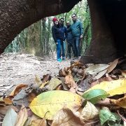 Mawphlang Enchanted Forest with Khasi Frineds