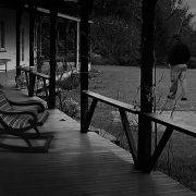 Uncle Brown walking in the lawn