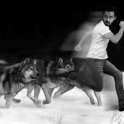 Pack of wolves chasing a Man