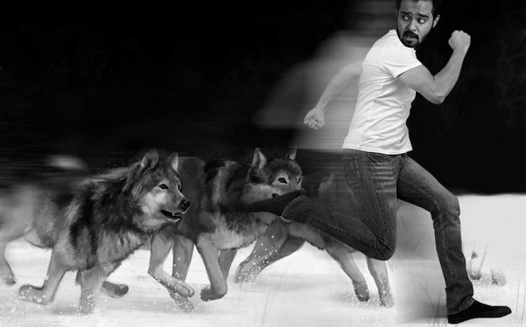 Pack of wolves chasing a Man
