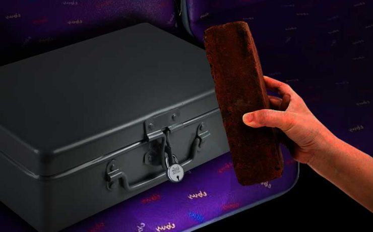 Trying to break the suitcase with a brick