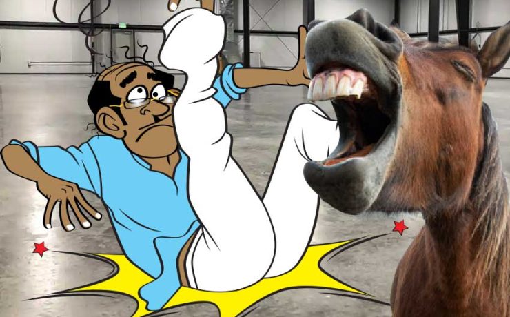 চট্টবাবু