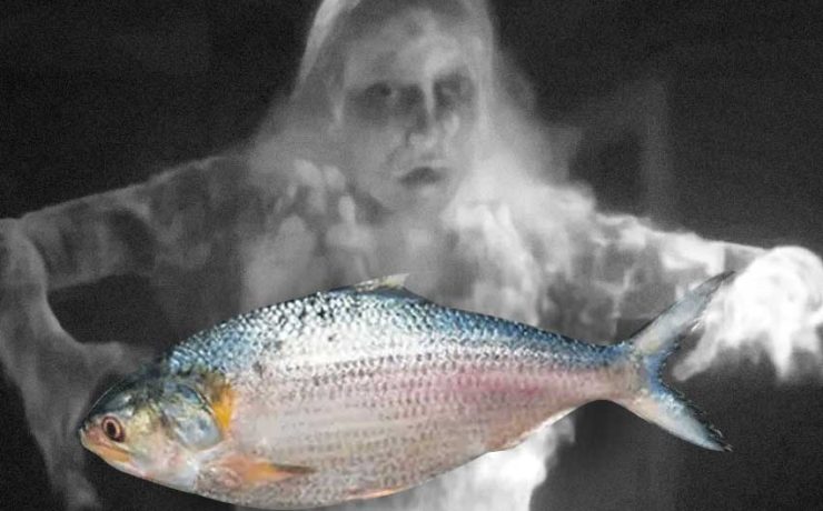 Hilsa and the Ghost