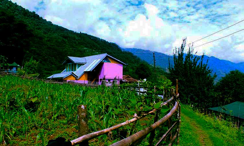 দারাপ