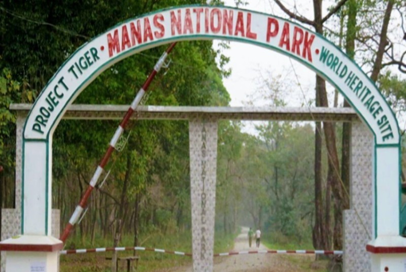 Elephants Butchered In Manas National Park