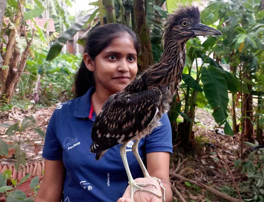 Aditi Gain with a Black-crowned Night Heron