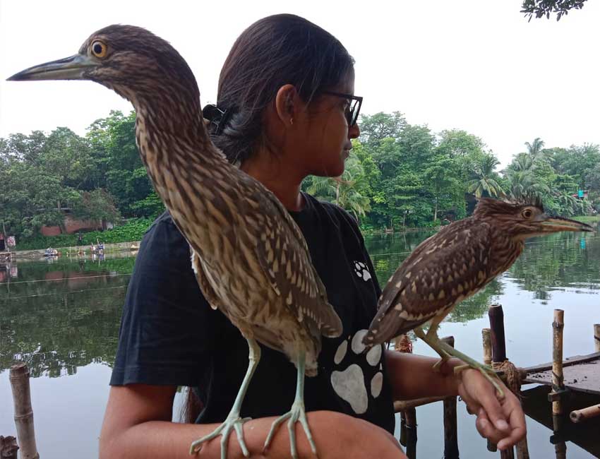 Aditi with 2 Herons