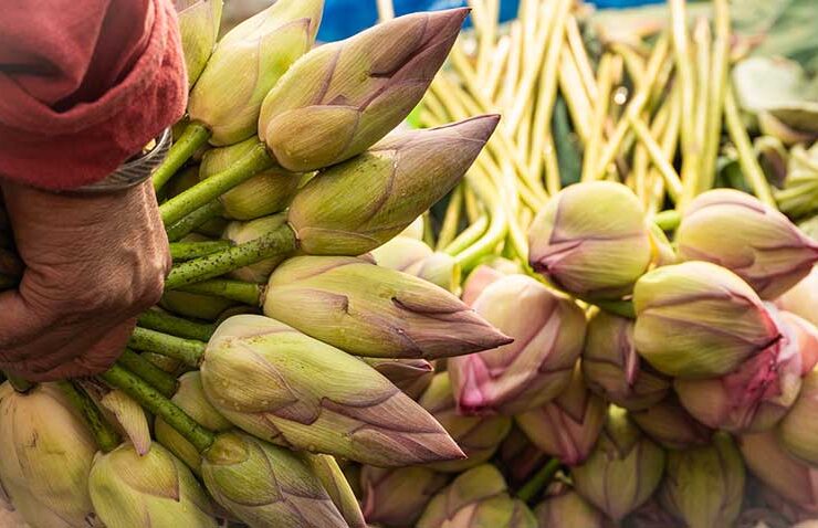 Gazipur Flower Market Photographs by Madhuri Chatterjee