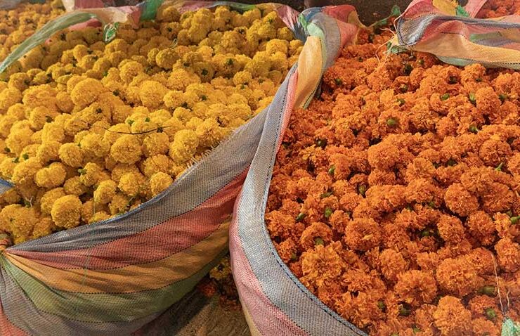 Gazipur Flower Market