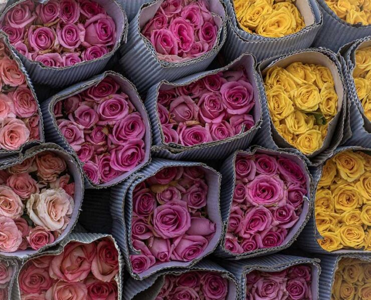 Gazipur Flower Market